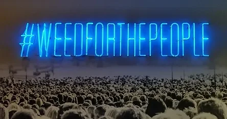 #WEEDFORTHEPEOPLE Custom Neon Signs for Catalyst Cannabis